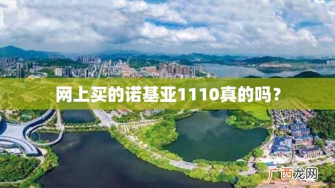 网上买的诺基亚1110真的吗？