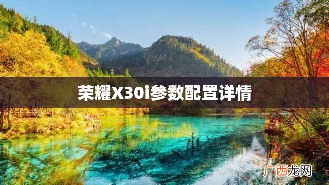 荣耀X30i参数配置详情