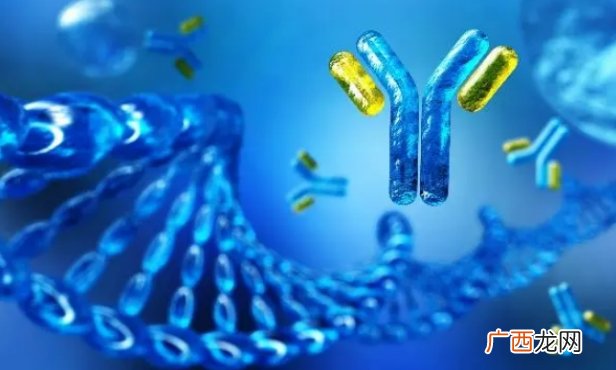 打造抗体“士兵” DNA柔性成关键 柔软是最强大的力量？