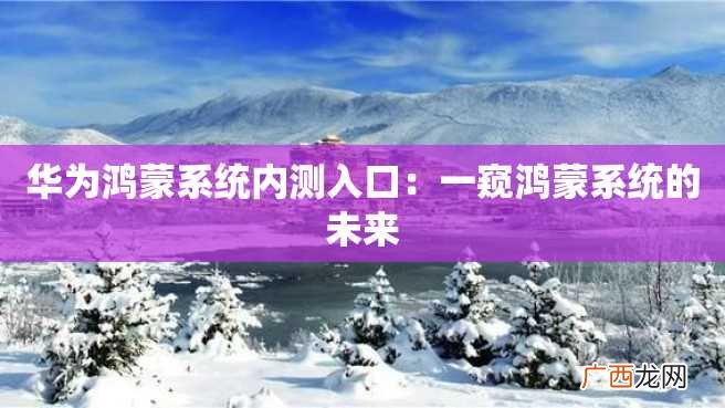 华为鸿蒙系统内测入口：一窥鸿蒙系统的未来