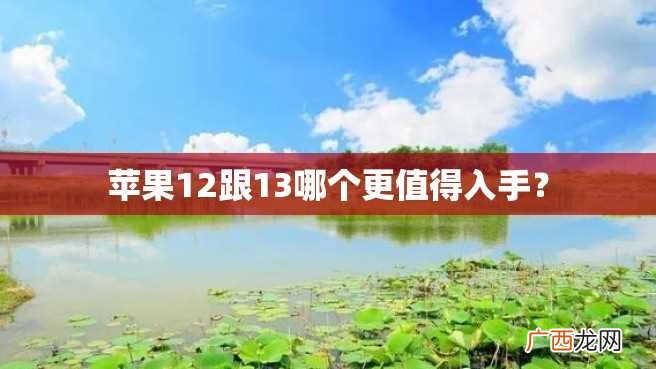 苹果12跟13哪个更值得入手?