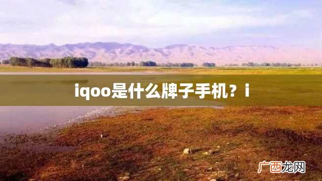 iqoo是什么牌子手机?i