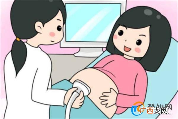 怀孕几个月后可以定胎位
