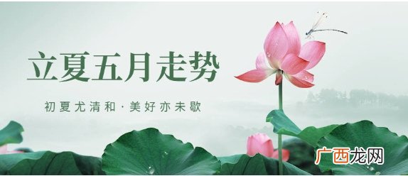 丁巳五月 5.6—6.5?十二属相走势（中)