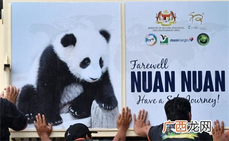 ?丫丫专机将于当地时间26日中午起飞 多久抵达上海？