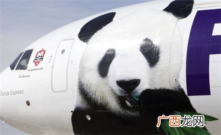 ?丫丫专机将于当地时间26日中午起飞 多久抵达上海？