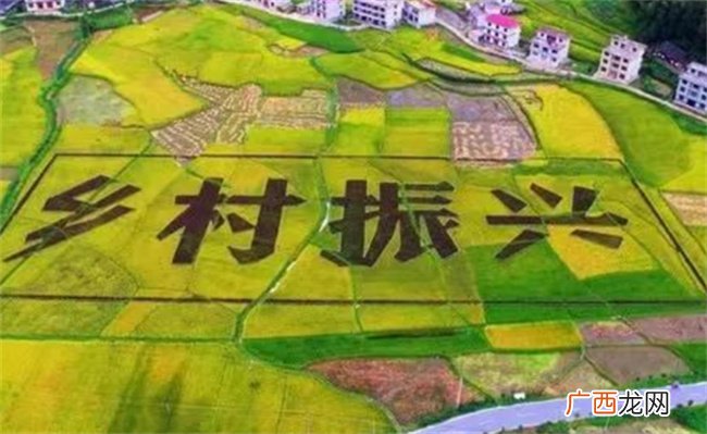 ?农民眼中的乡村振兴是啥样？