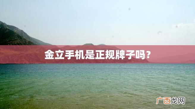 金立手机是正规牌子吗？
