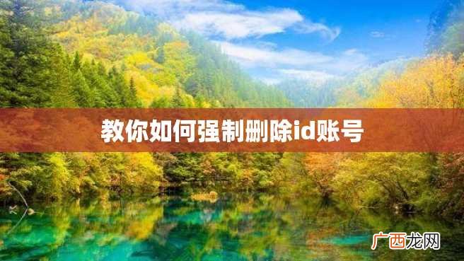 教你如何强制删除id账号