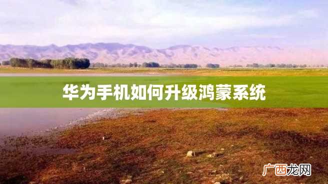 华为手机如何升级鸿蒙系统