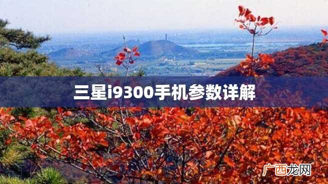 三星i9300手机参数详解