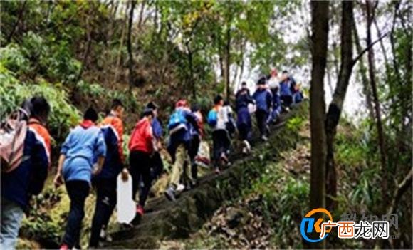 不惧艰险 勇攀高峰确山县靖宇小学教师参加县职工登山健身活动