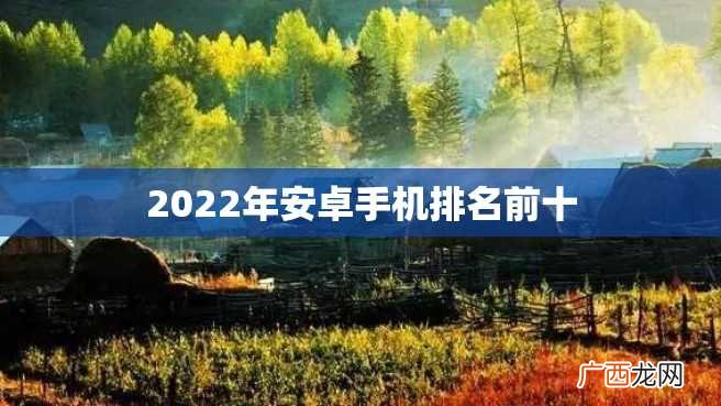 2022年安卓手机排名前十