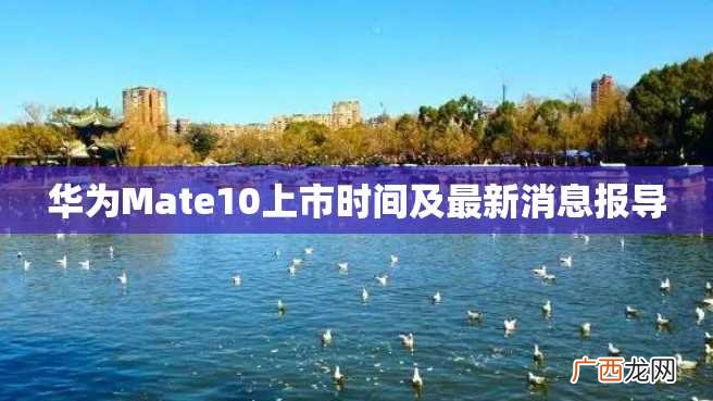 华为Mate10上市时间及最新消息报导