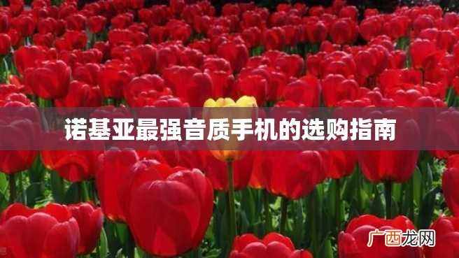 诺基亚最强音质手机的选购指南