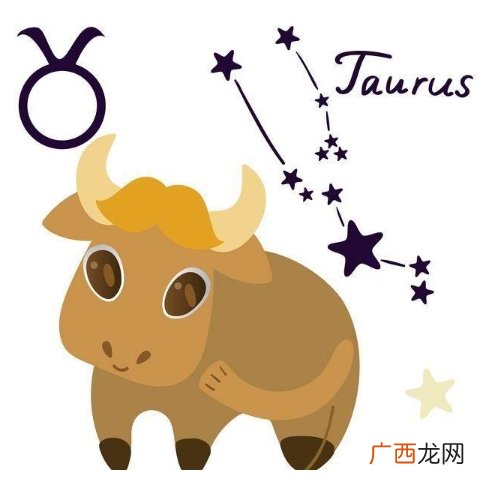 了解土象星座的需求和挑战：摩羯座、金牛座和处女座的共同生活小贴士