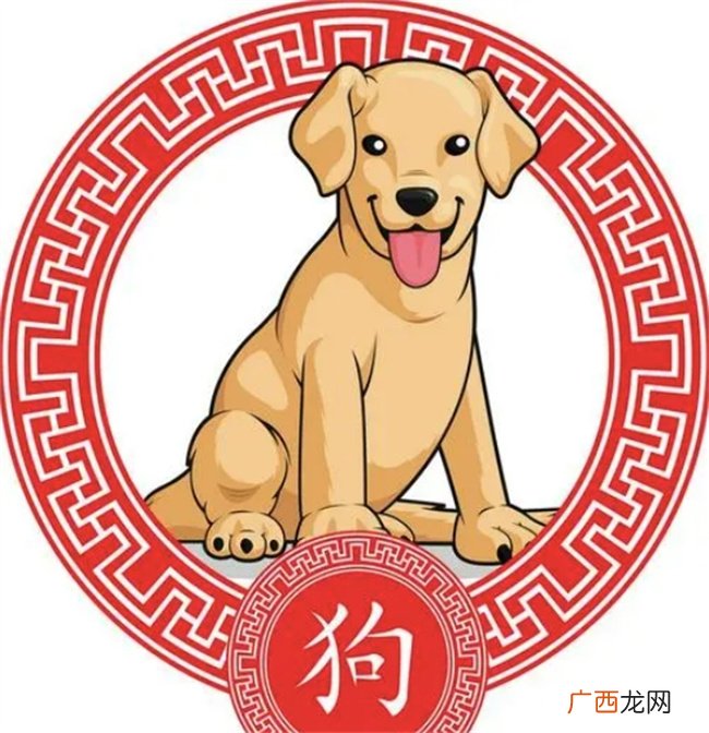 5月4号--5月26号的生肖财运大分析
