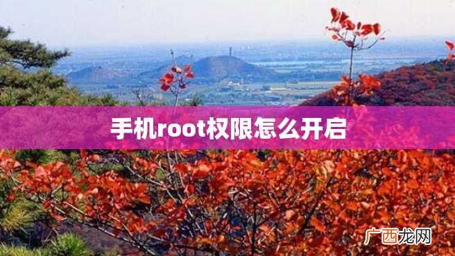 手机root权限怎么开启