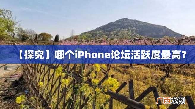【探究】哪个iPhone论坛活跃度最高?