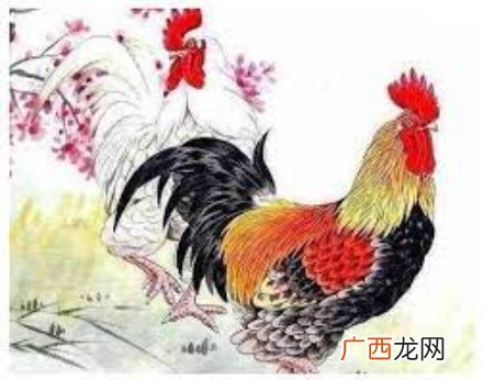 明天4月29号运气好,财运旺,先发财后升官的生肖