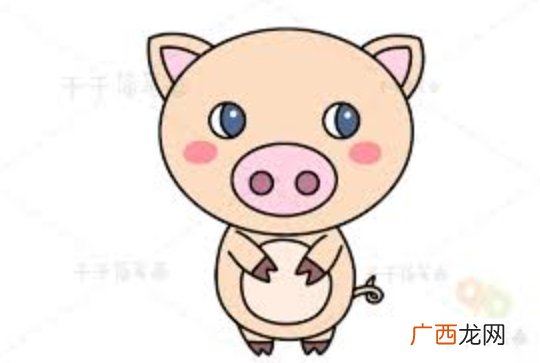明天4月29号运气好,财运旺,先发财后升官的生肖
