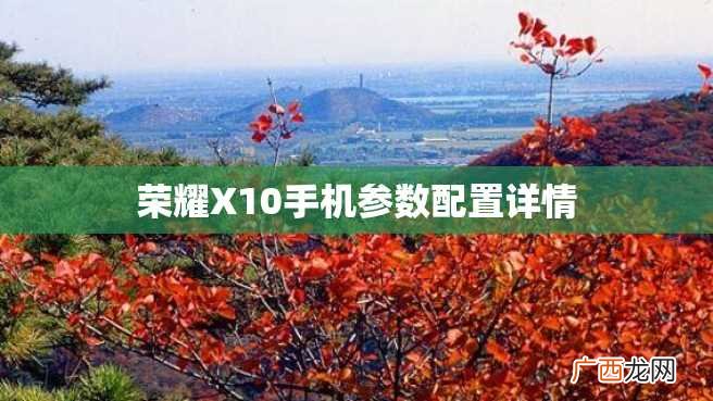 荣耀X10手机参数配置详情