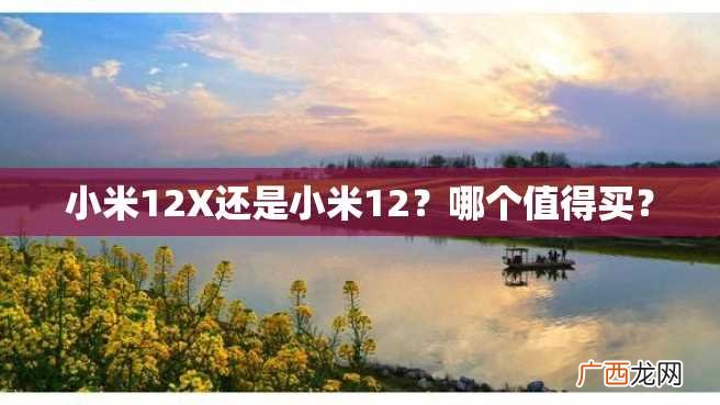 小米12X还是小米12？哪个值得买？