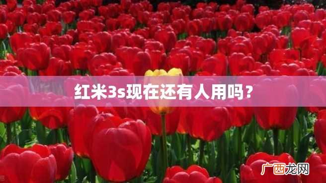 红米3s现在还有人用吗?