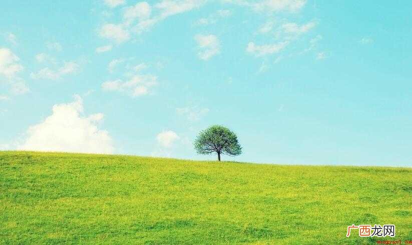 怎么设置绿色护眼桌面