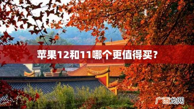 苹果12和11哪个更值得买？