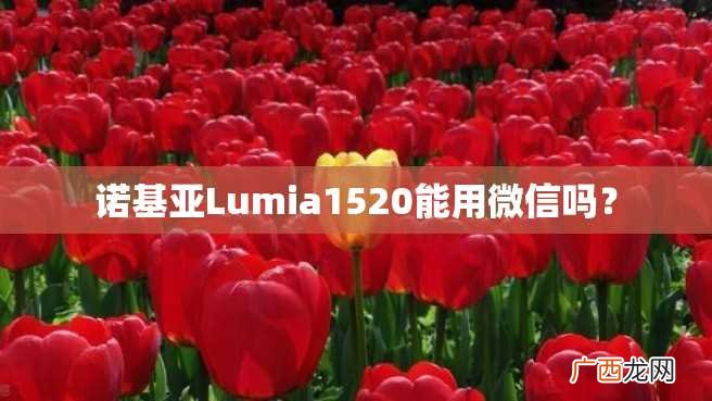 诺基亚Lumia1520能用微信吗？