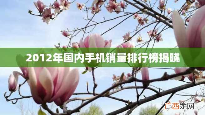 2012年国内手机销量排行榜揭晓