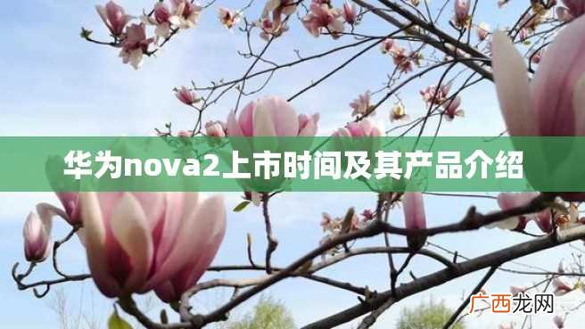华为nova2上市时间及其产品介绍