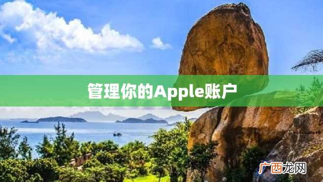 管理你的Apple账户