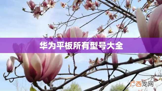 华为平板所有型号大全