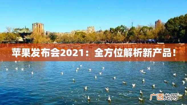 苹果发布会2023：全方位解析新产品！