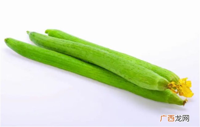 这瓜养生最佳 蒸一蒸 浇上肉末酱 营养全面味道实在太棒了