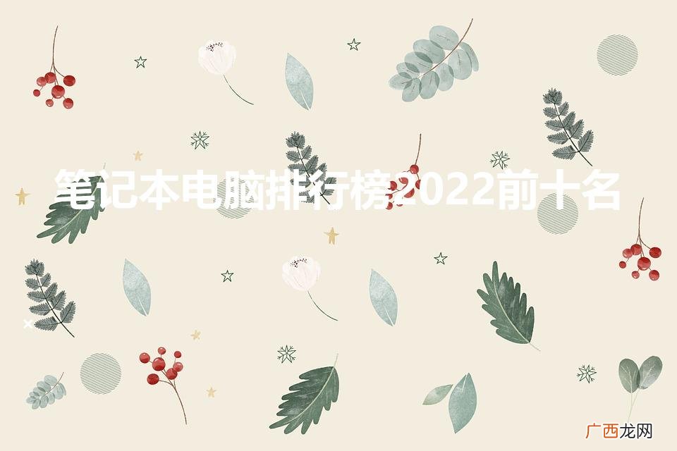 笔记本电脑排行榜2022前十名（最新笔记本电脑排行榜前十名)