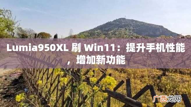 Lumia950XL 刷 Win11：提升手机性能，增加新功能