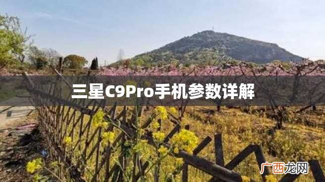 三星C9Pro手机参数详解