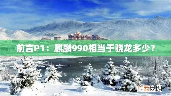 前言P1：麒麟990相当于骁龙多少？