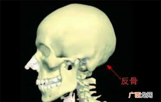 诸葛亮诚不欺我 原来真的有“反骨”