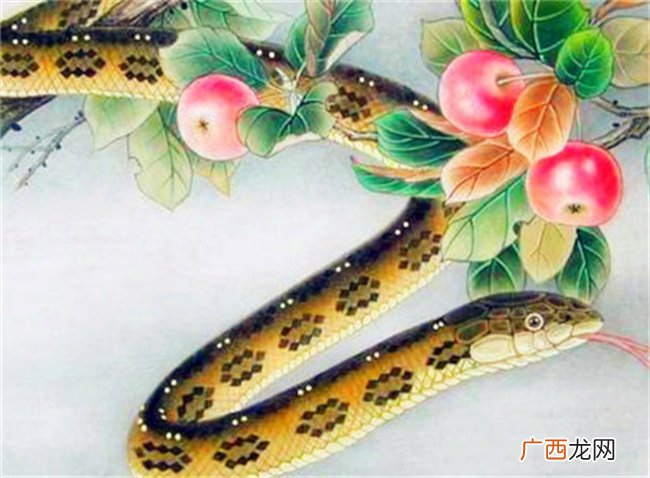 40岁后少流泪少流汗，多赚钱多喜悦的三个生肖，中年有福