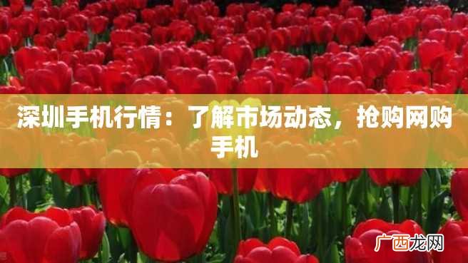 深圳手机行情：了解市场动态，抢购网购手机