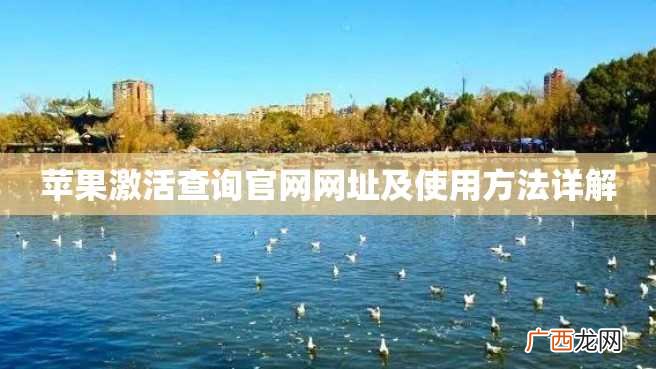 苹果激活查询官网网址及使用方法详解