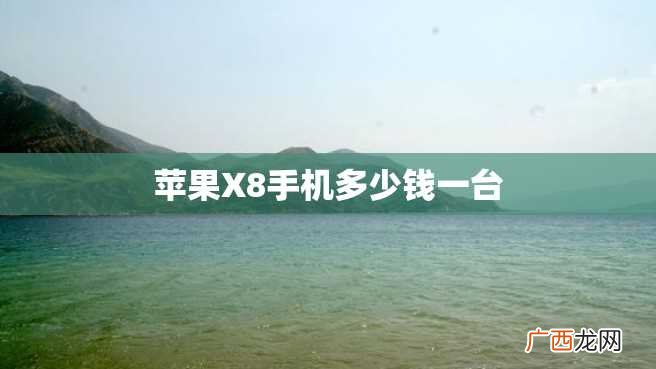 苹果X8手机多少钱一台