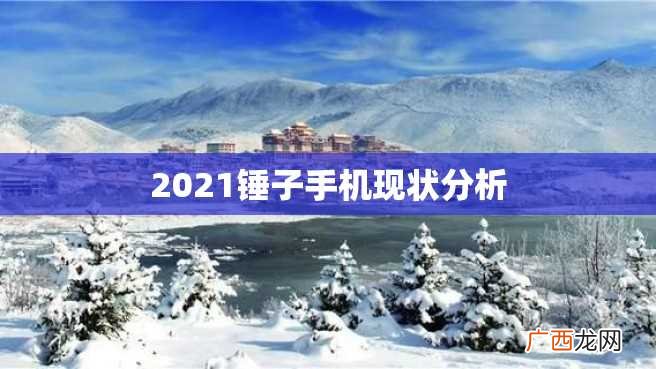2023锤子手机现状分析
