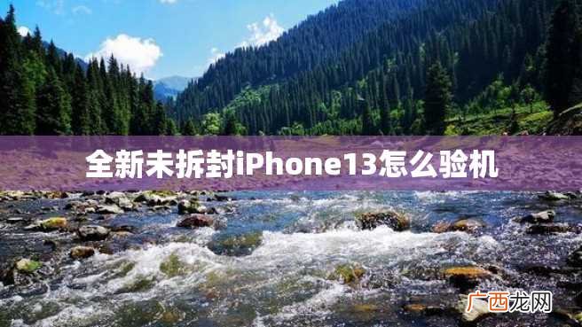 全新未拆封iPhone13怎么验机