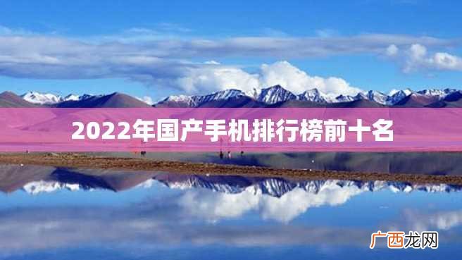 2022年国产手机排行榜前十名