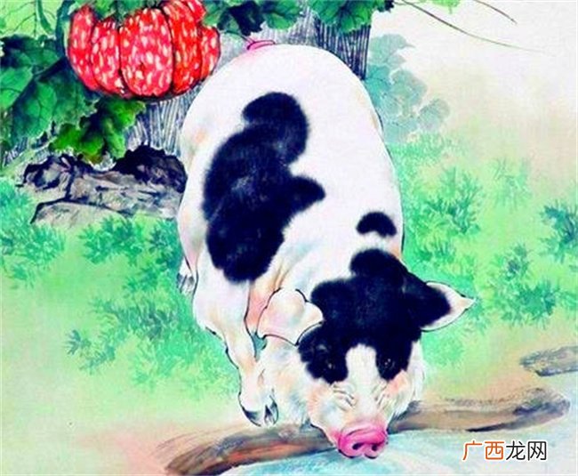 2023年经历辛苦，终将富裕的四个生肖，幸福前所未有升温